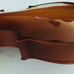 Skylark Student Violin.