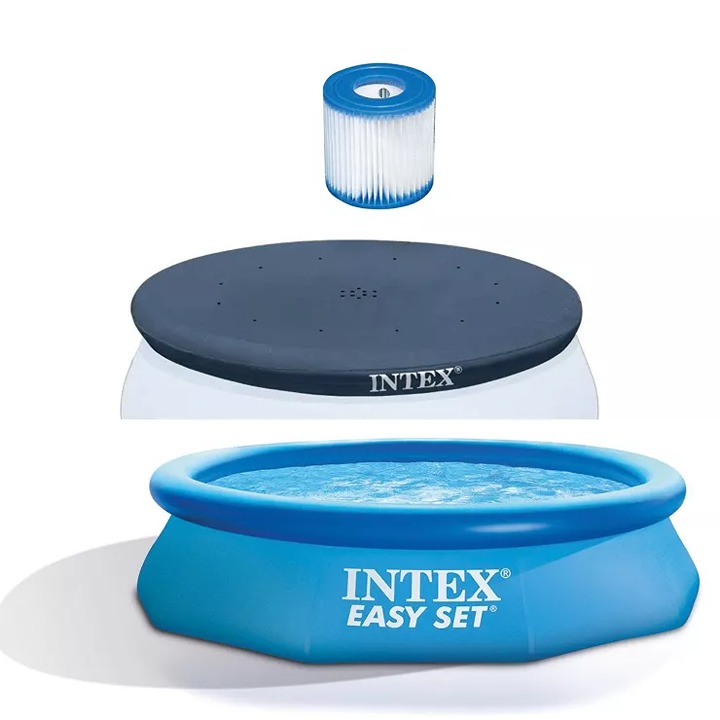 Intex Type H Easy Set Filter Cartridge Bundled with Pool Debris Vinyl alce.