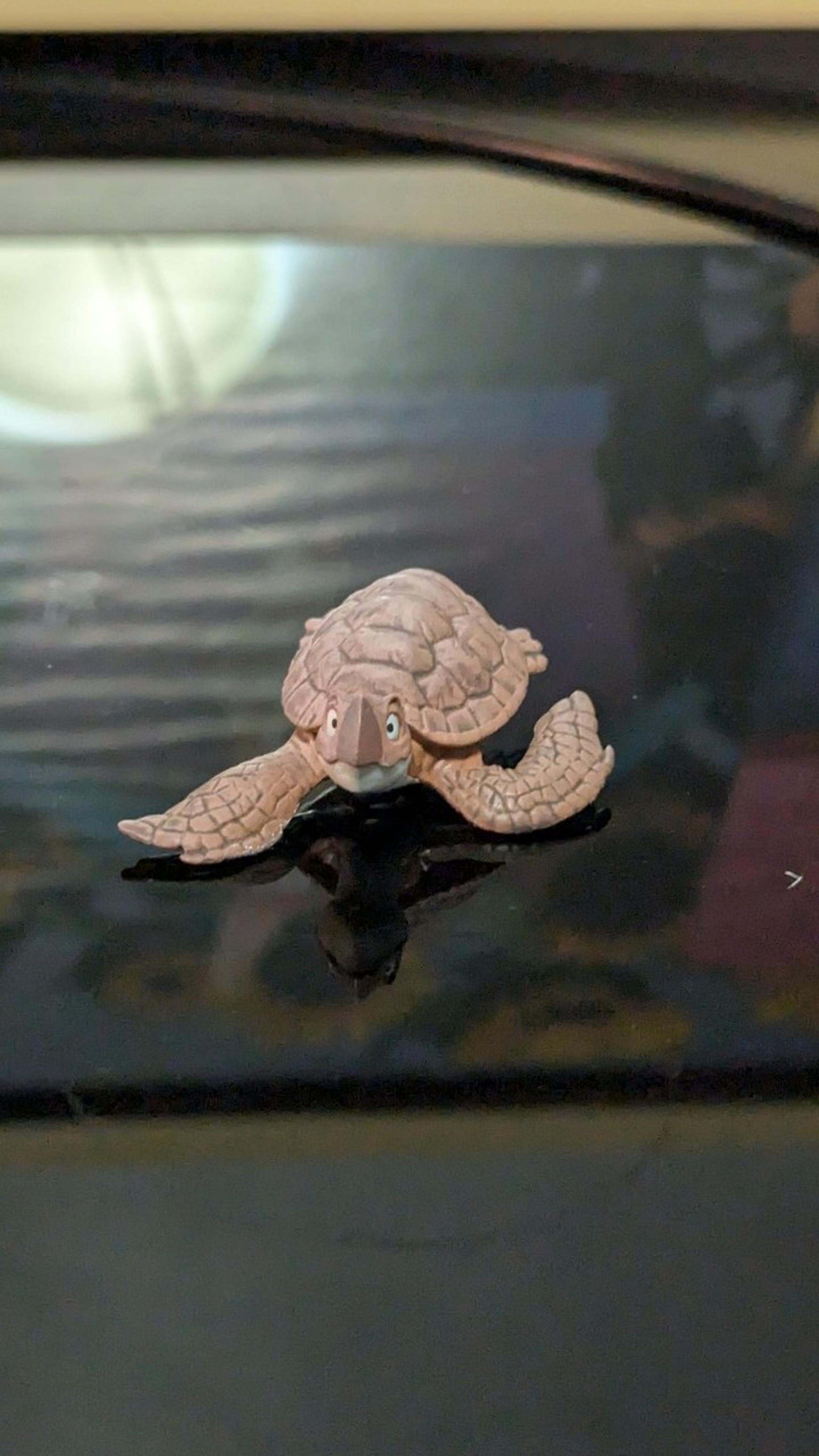 Dragon Ball Kame Turtle gachapon figure