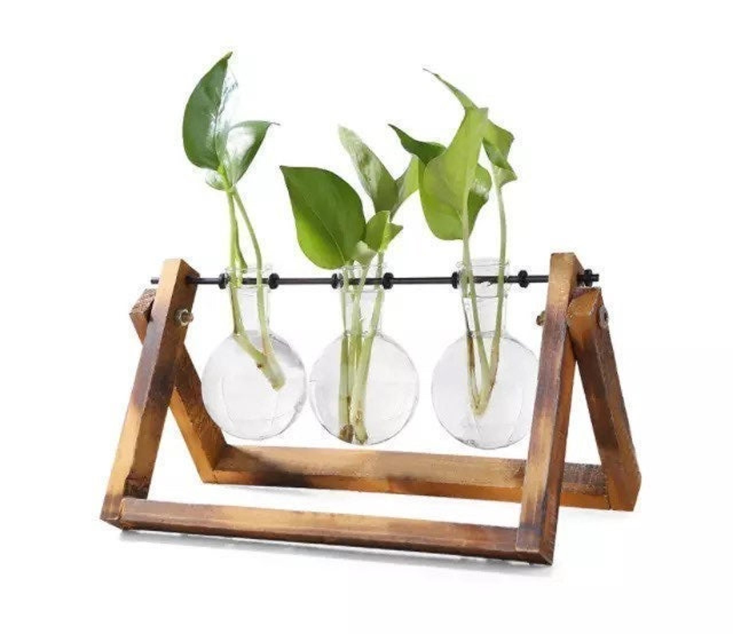 Beautiful Propagation Station - Home Depot