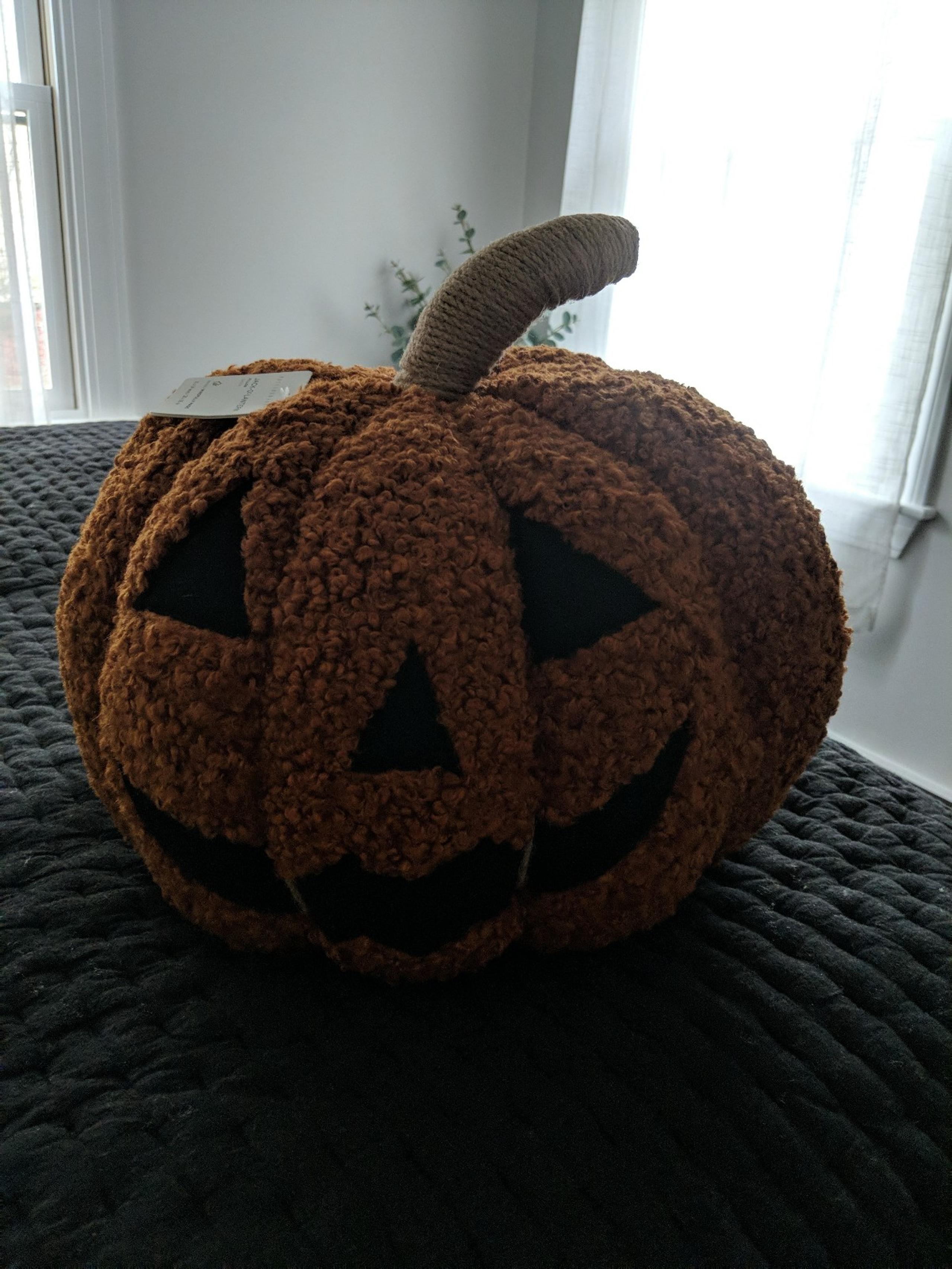 Pottery Barn Jack O Lantern Pillow