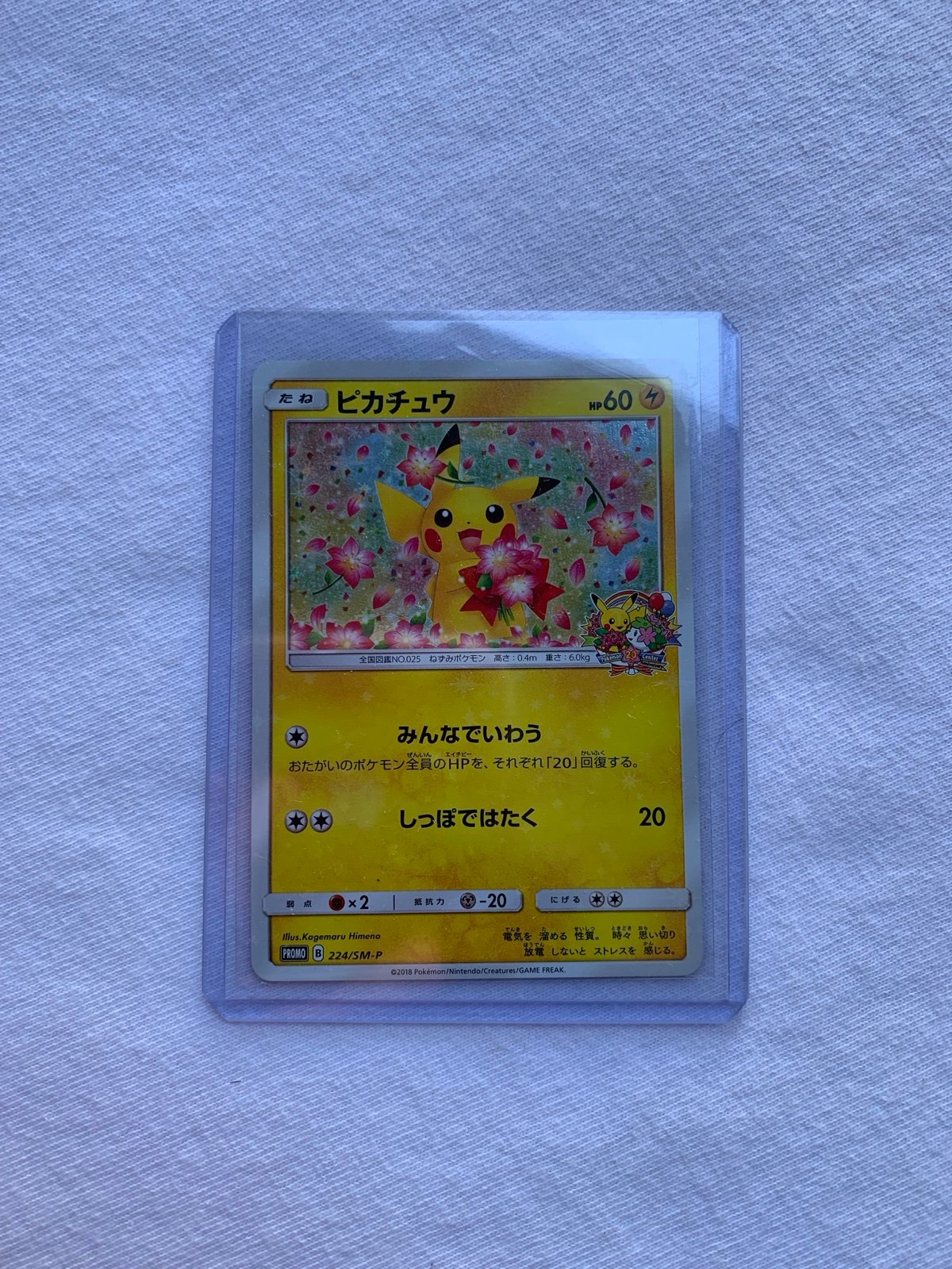 Pikachu 224/SM-P 20 Anniversary Promo Holo Japanese Pokemon Card