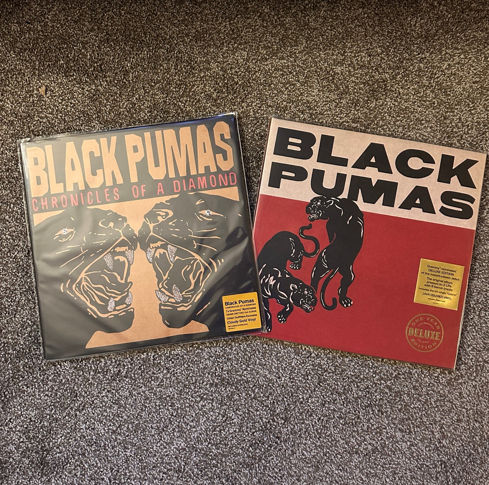 Black Pumas Vinyl Bundle