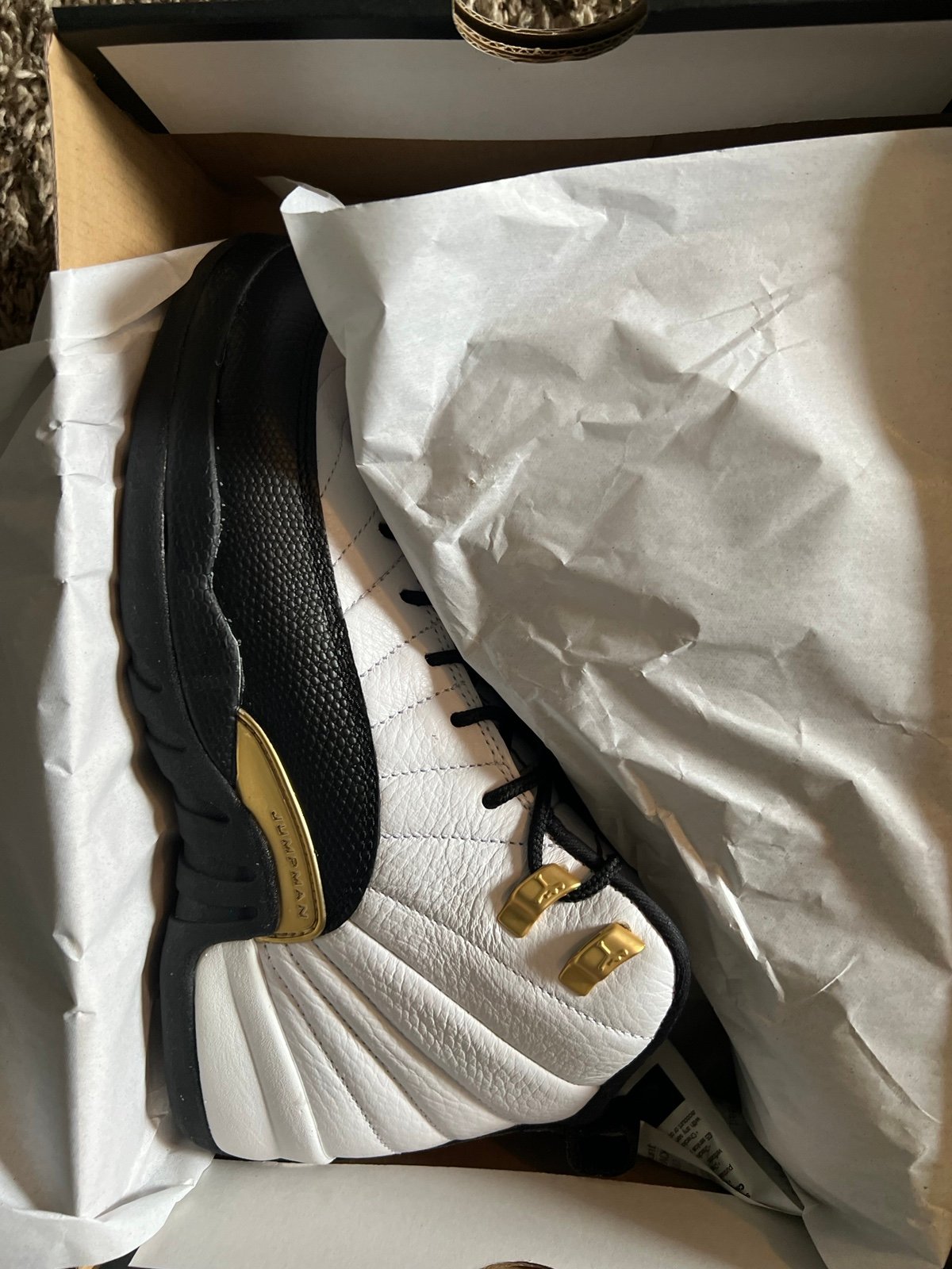 Air Jordan 12