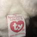 (2) 1998 Rare Halo Beanie Baby AND Halo Beanie Buddy