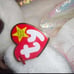 (2) 1998 Rare Halo Beanie Baby AND Halo Beanie Buddy