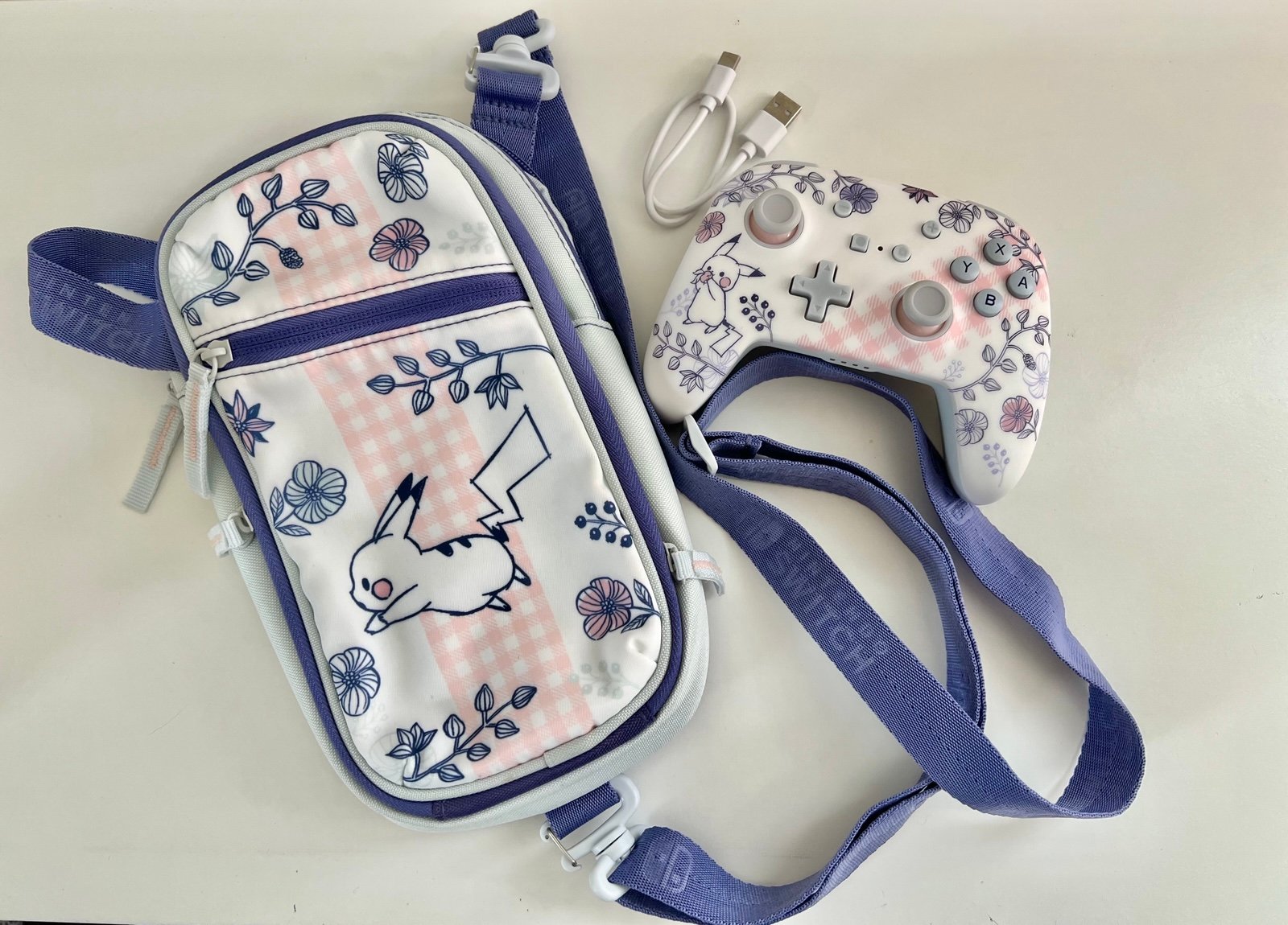 Nintendo Switch Carrying Case & Pro Controller