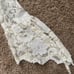 BECO Couture Cream Lace One Sleeve Dress