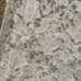 BECO Couture Cream Lace One Sleeve Dress