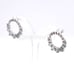 Authentic Pandora Glacial Beauty Earrings