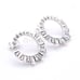 Authentic Pandora Glacial Beauty Earrings