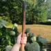 Vintage Cambridge Baseball Bat