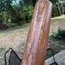 Vintage Cambridge Baseball Bat