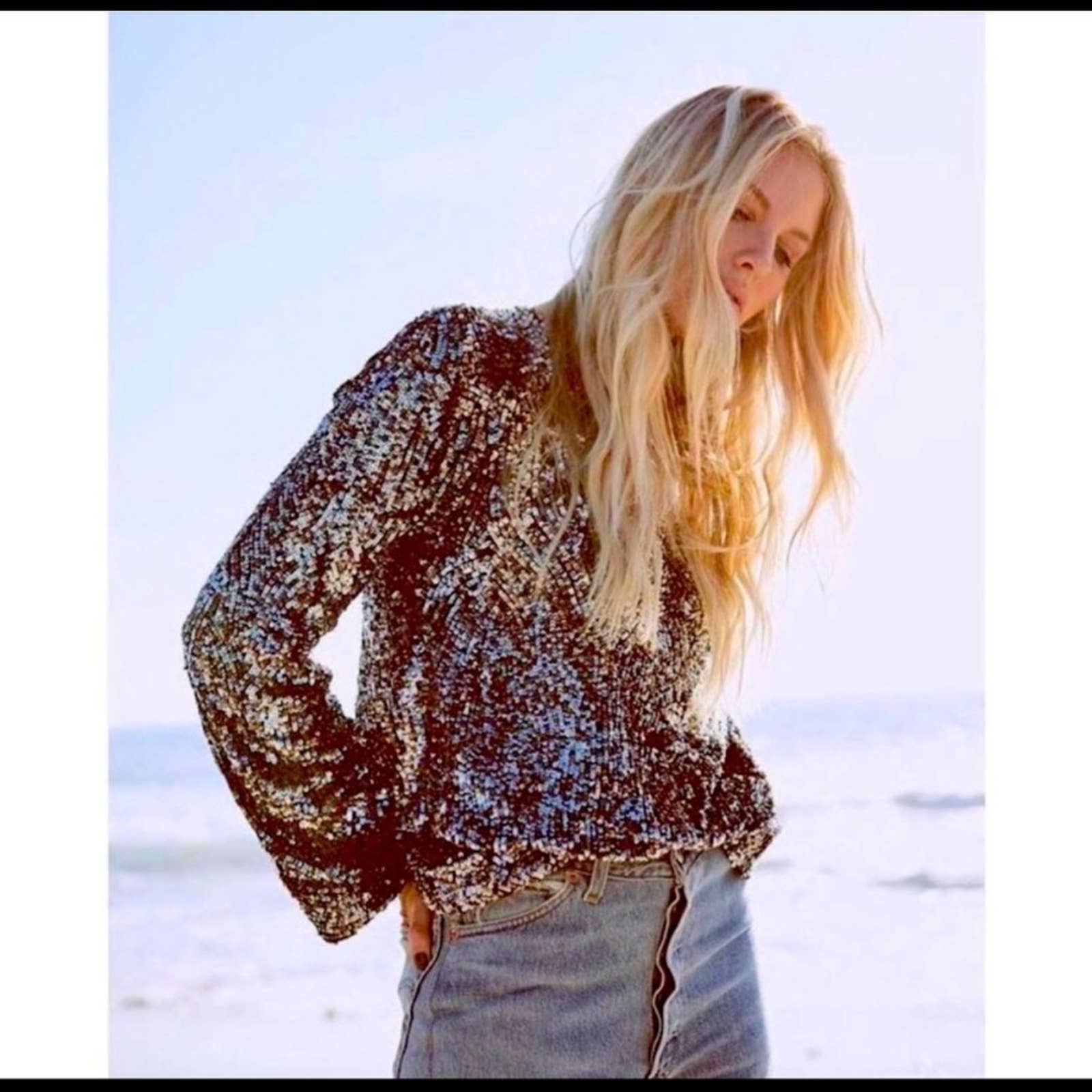 Equipment Abeline Sequin Top SZ S