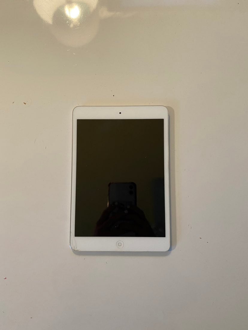 iPad mini