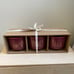 Rae Dunn Ceramic Planter Set — Autumn-Harvest-Blessed.