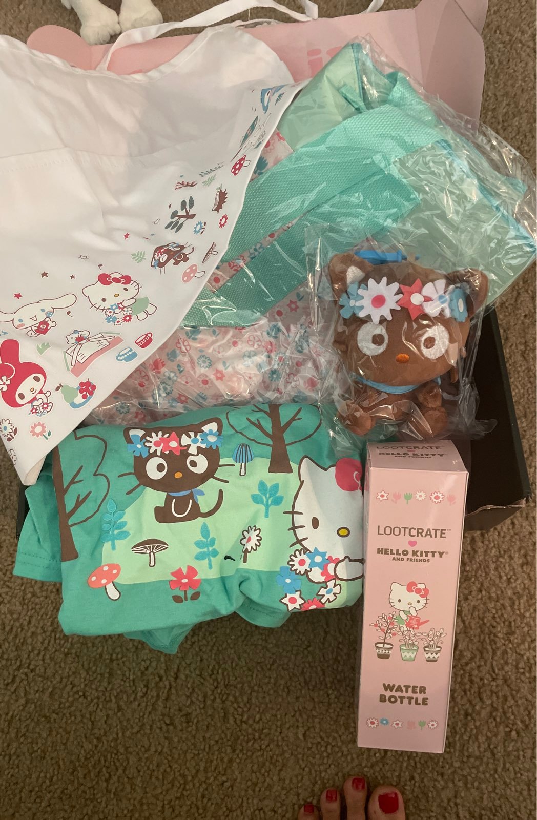 New exclusive hello kitty lootcrate box