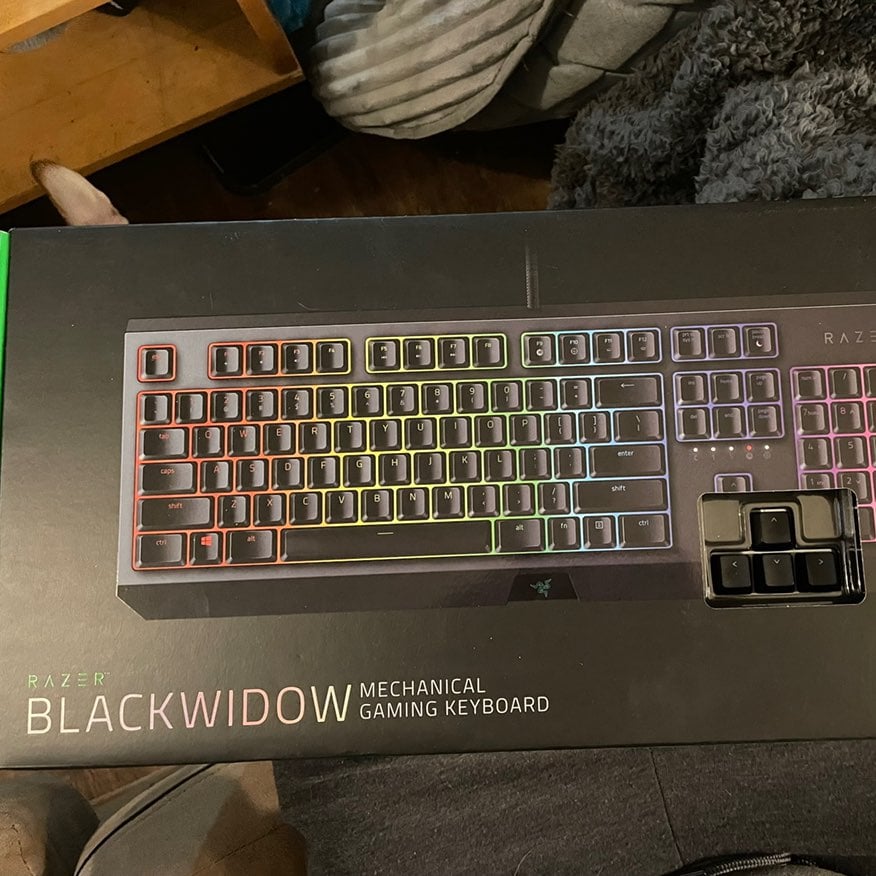 Razer Blackwidow mechanical gaming keyboard