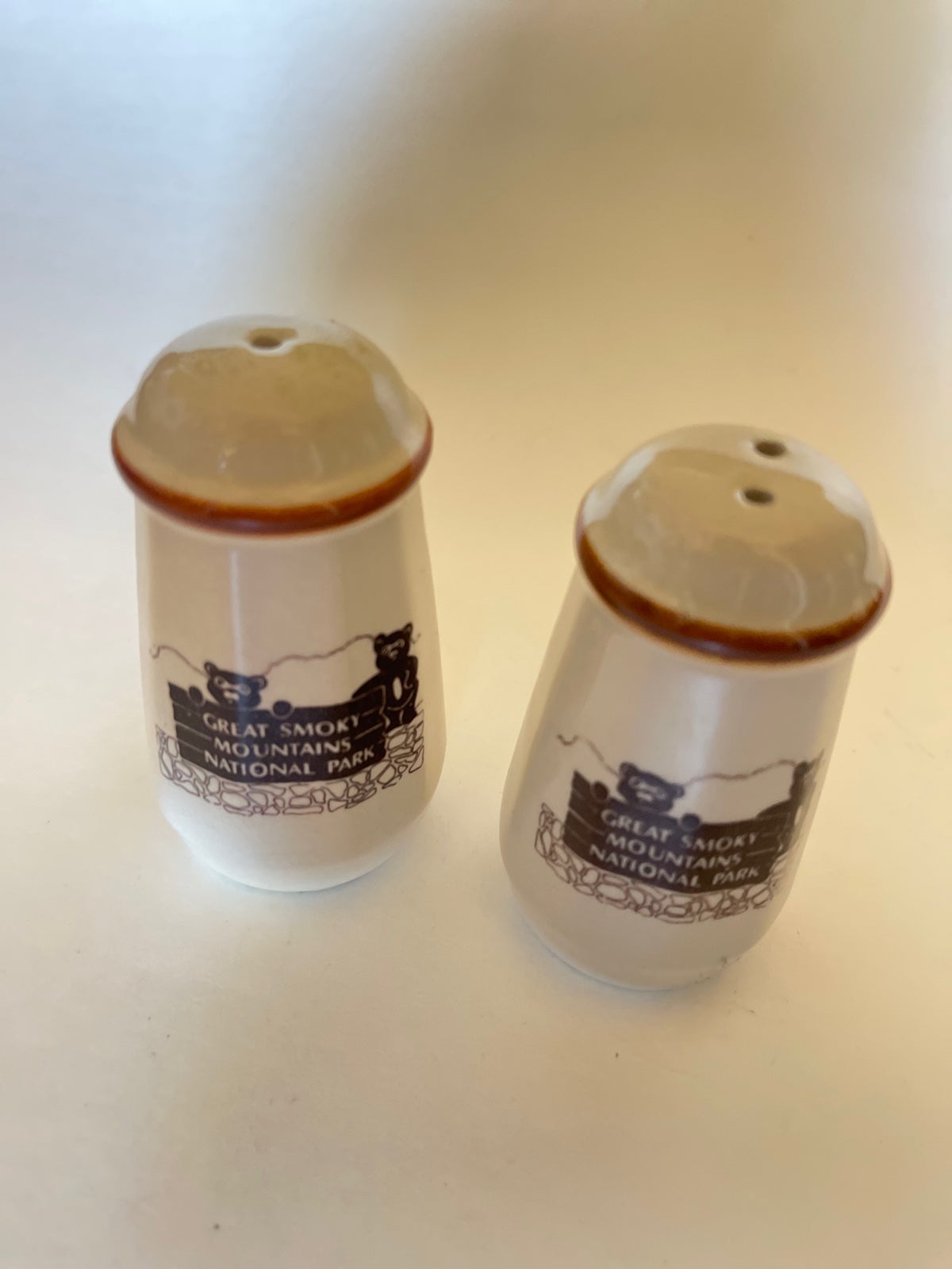 Rare vintage 1979s smoky mountain National park salt and pepper shakers
