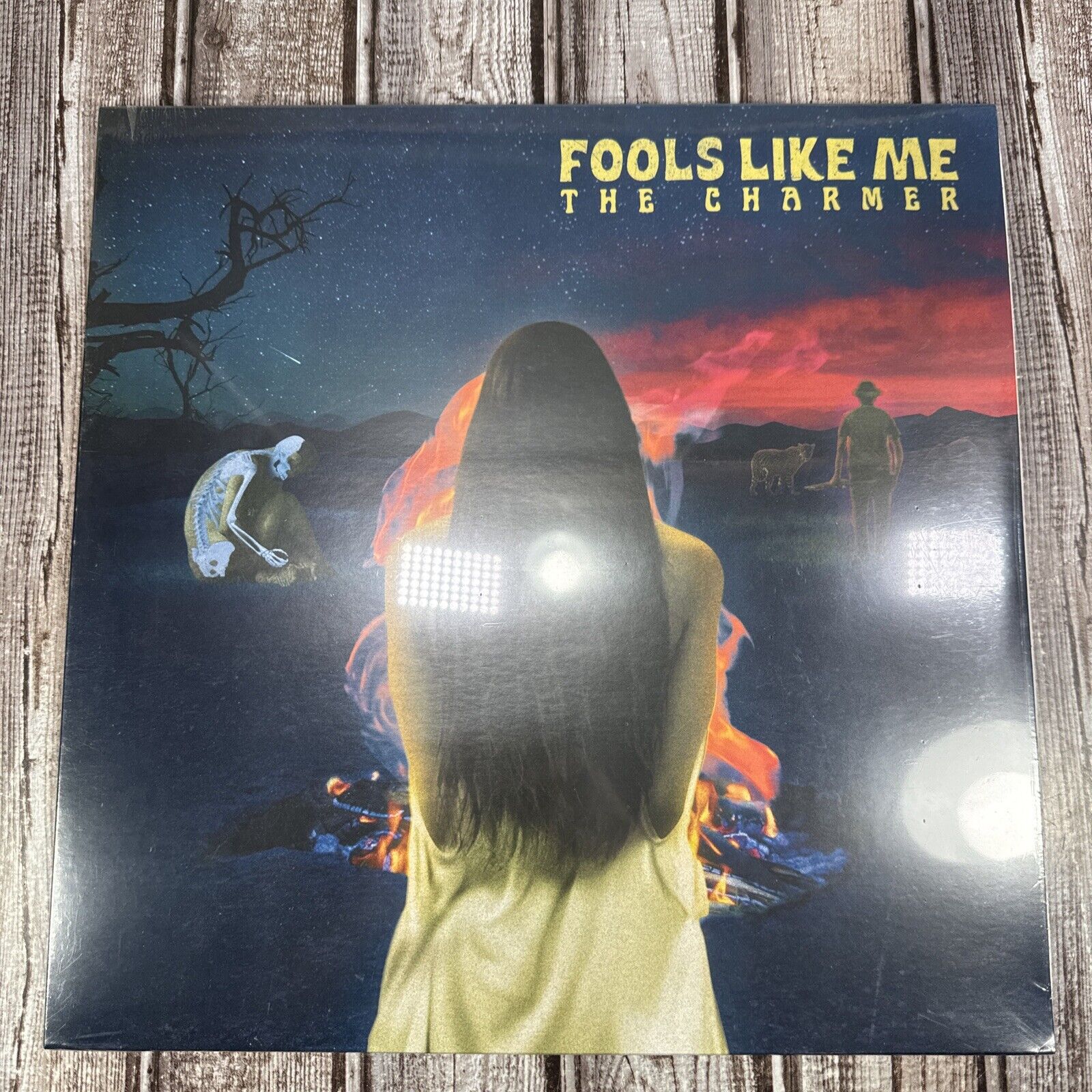 Fools Like Me - The Charmer - Vinyl Record - Rare 2017 Sealed