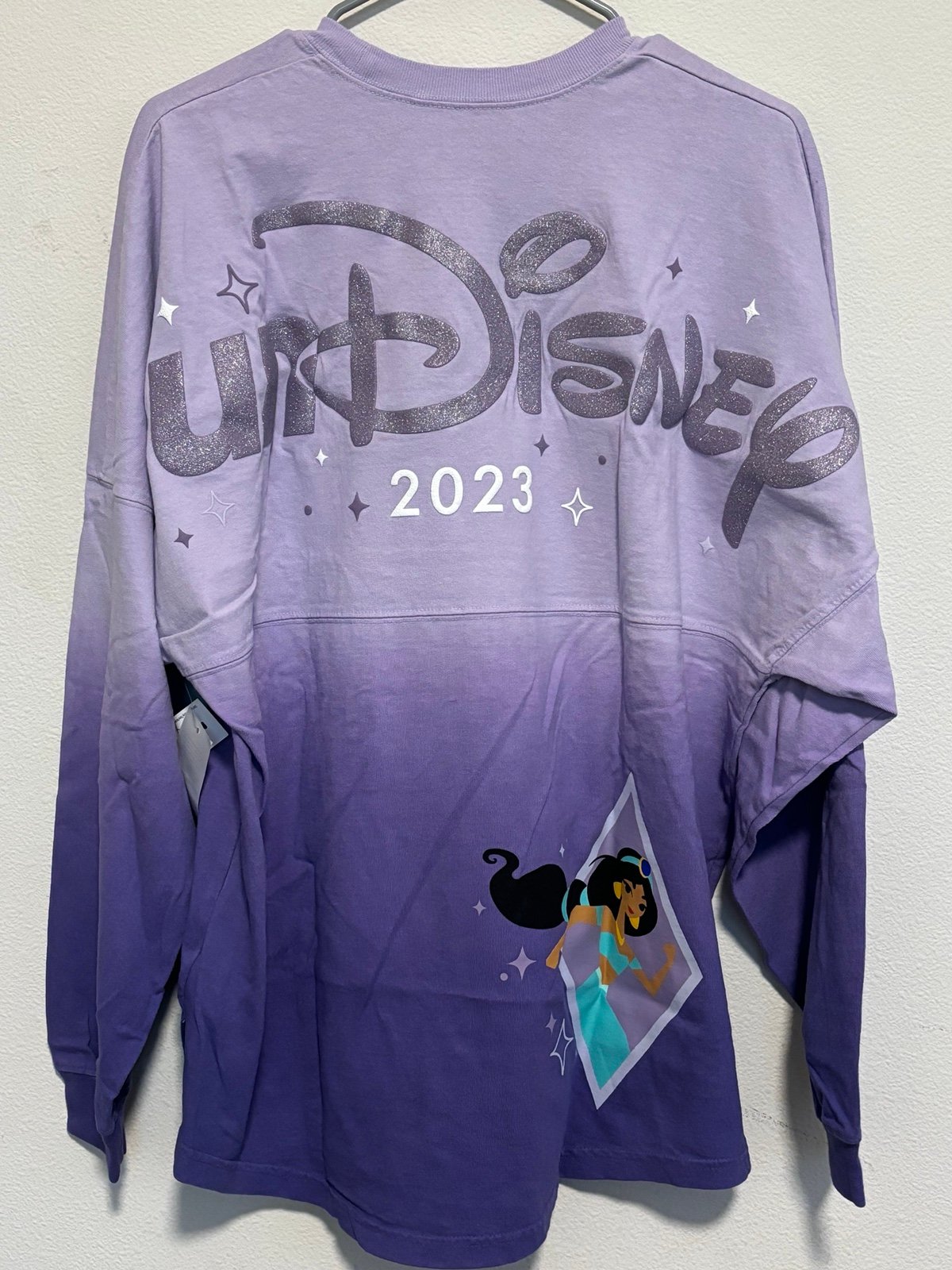 Rundisney princess marathon spirit jersey