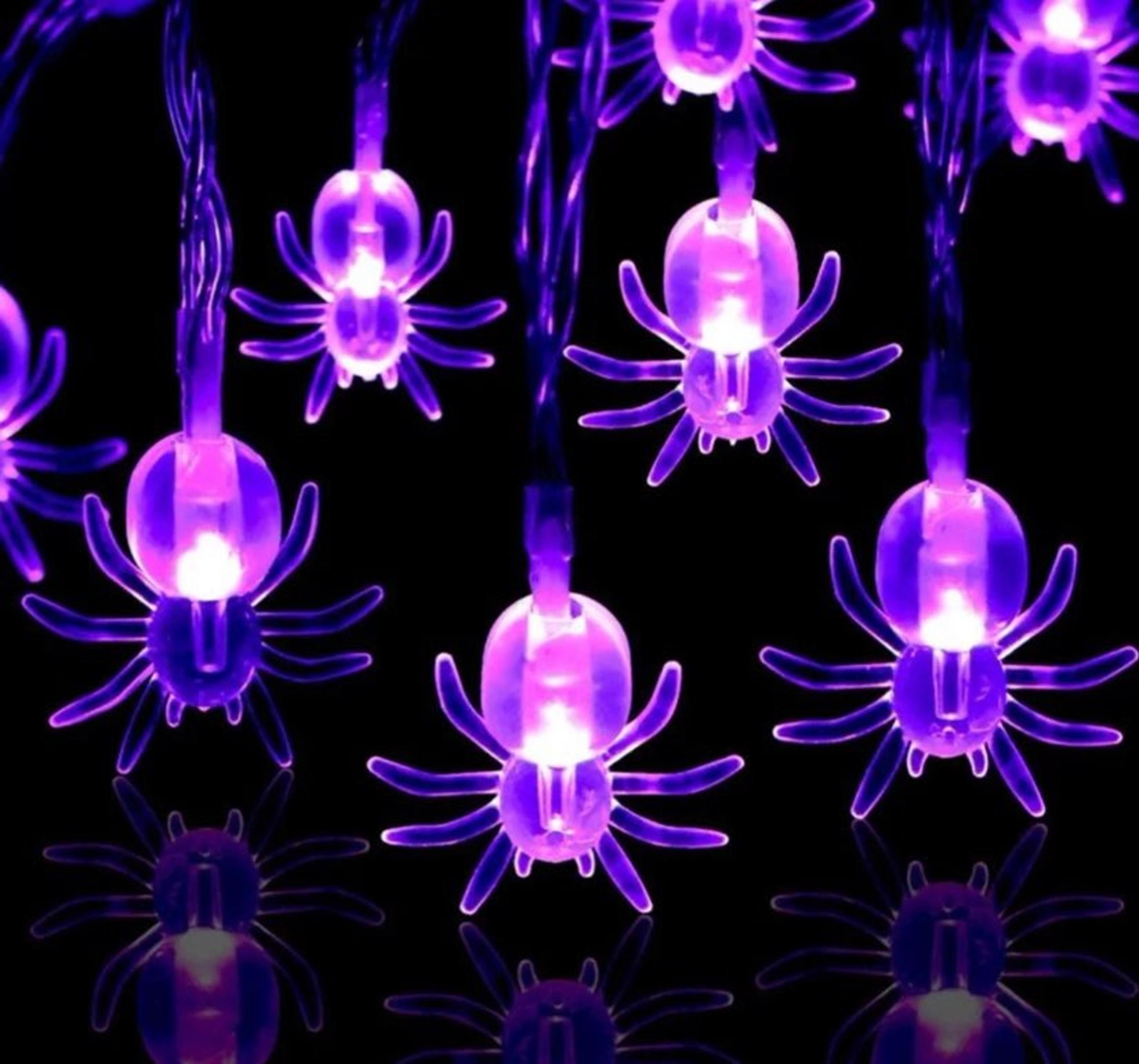 Spooky Spider LED Lights