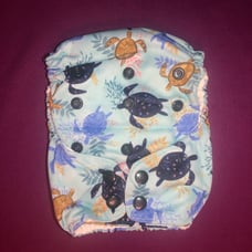 Thirsties Tortuga NAIO Cloth Diaper