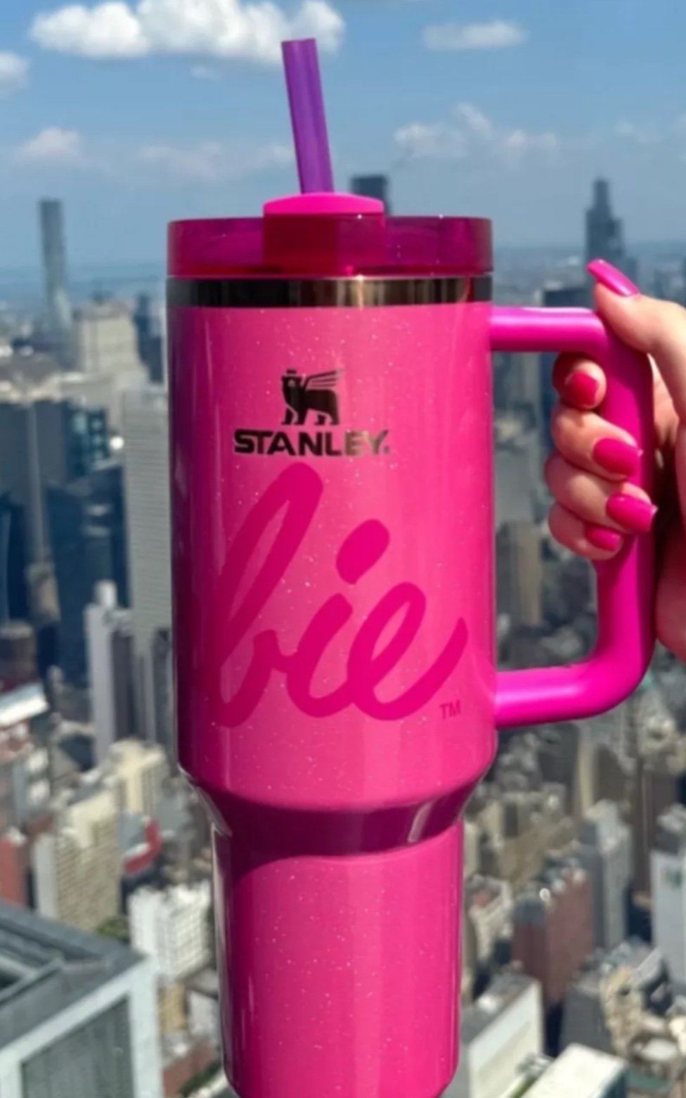 Barbie Stanley 30 oz cup