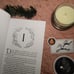 A Soul To Heal Fated Romance Edition Opal Reyne