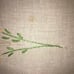 Vintage Dresser Scarf Table Runner Embro