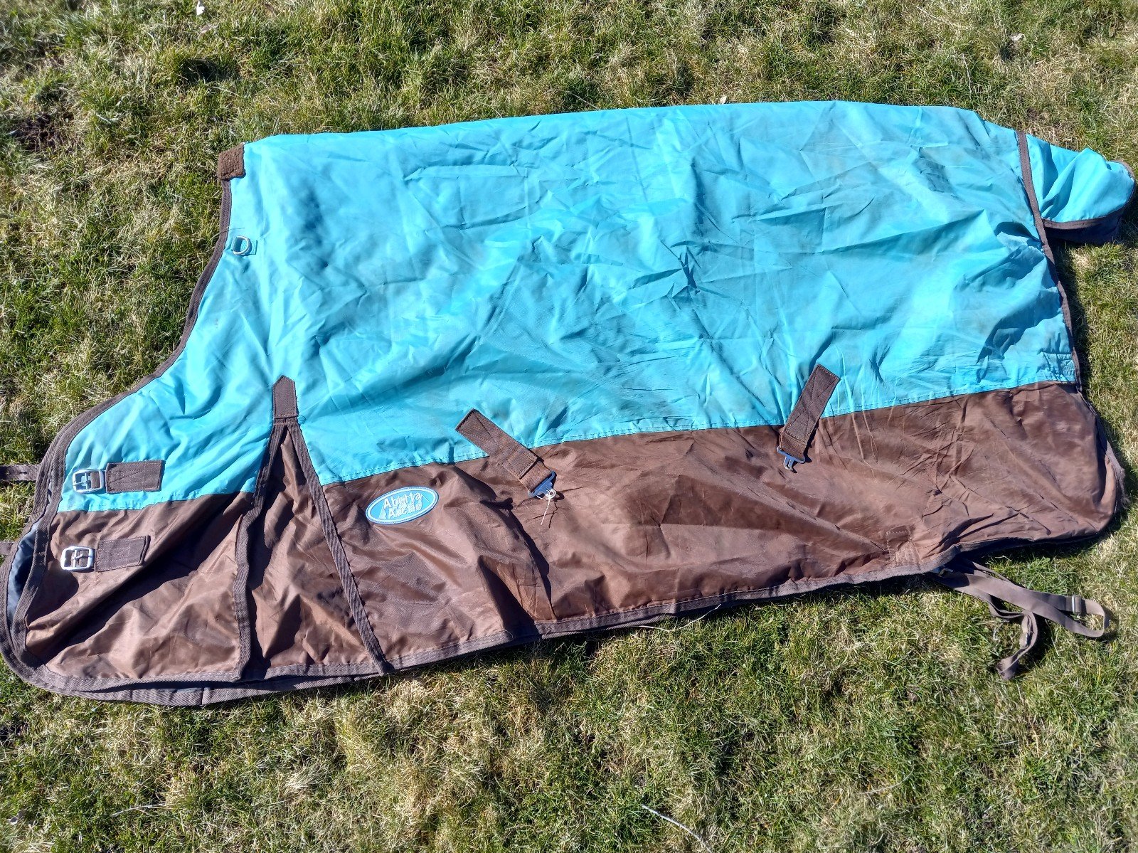 Abetta Artic Horse Blanket size 75
