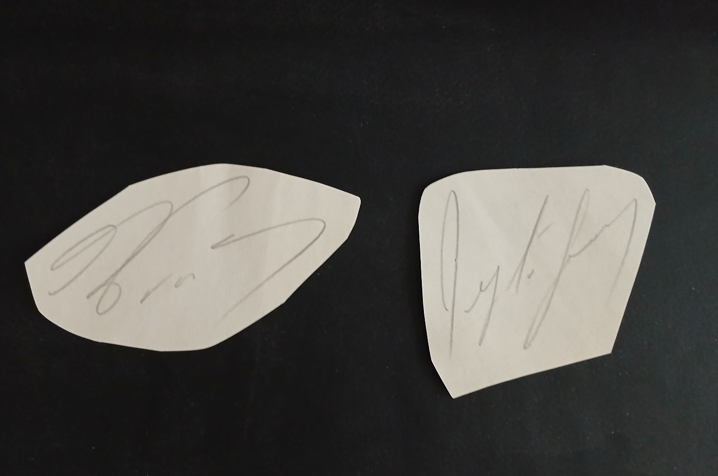 F1 Ayrton Senna & Alain Prost autographs