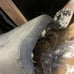 1989 YAMAHA XT600 ORIGINAL OEM SEAT + HARDWARE
