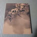 Kawanabe Kyosai Illustrated Catalog, 2-piece Set