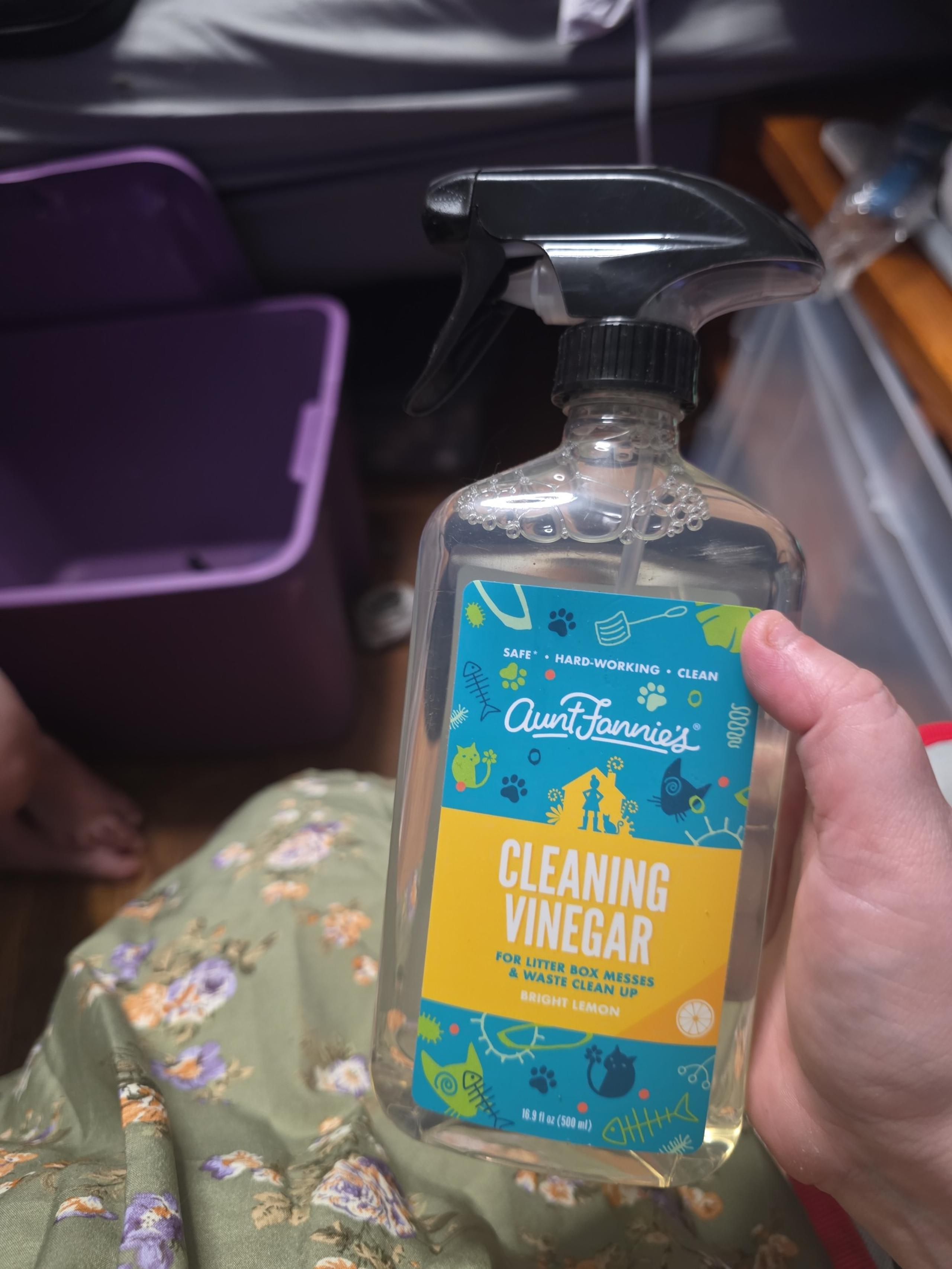 Cat Box Cleaning Vinegar Spray