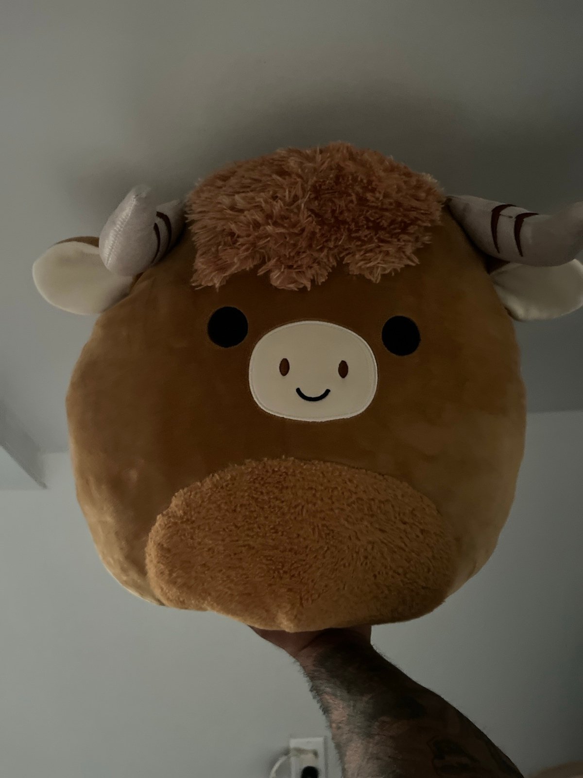 Brown Bull squishmellow
