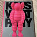 KAWS WHAT PARTY book