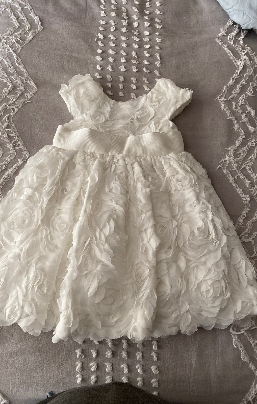Janie and Jack rosette dress