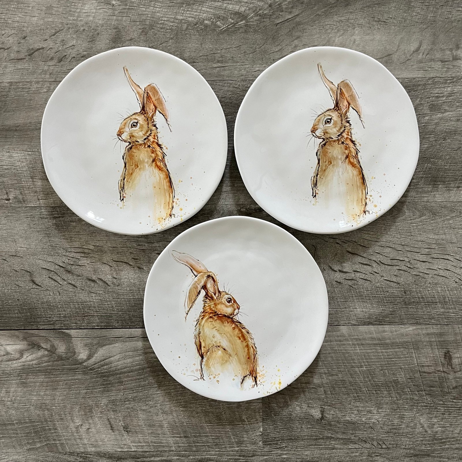 NEW Hobby Lobby Easter Spring 2025 Bunny Salad Plates Set of 3