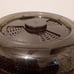 Fingerhut/Ronco Food Dehydrater