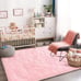 NEW Super Soft Shaggy Rug for Bedroom, 3x5 Feet Fluffy Carpet for Living Room