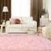 NEW Super Soft Shaggy Rug for Bedroom, 3x5 Feet Fluffy Carpet for Living Room