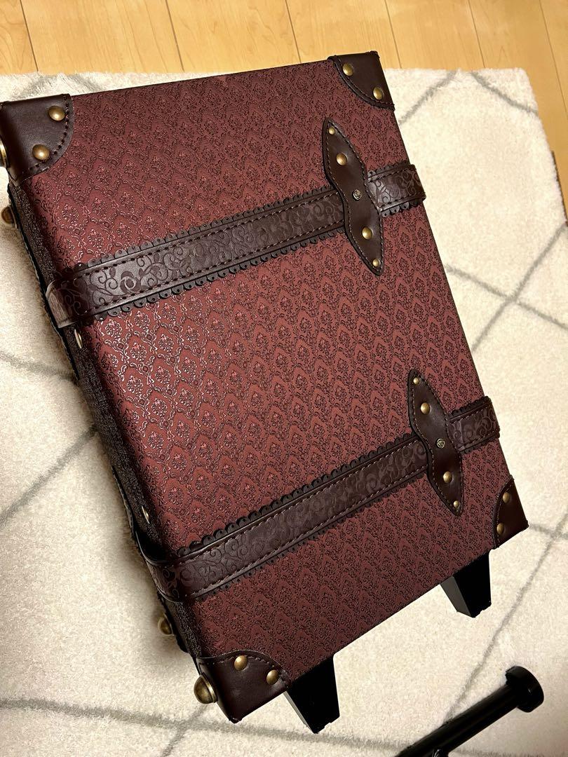 Rare⭐︎Beautiful Carry Case