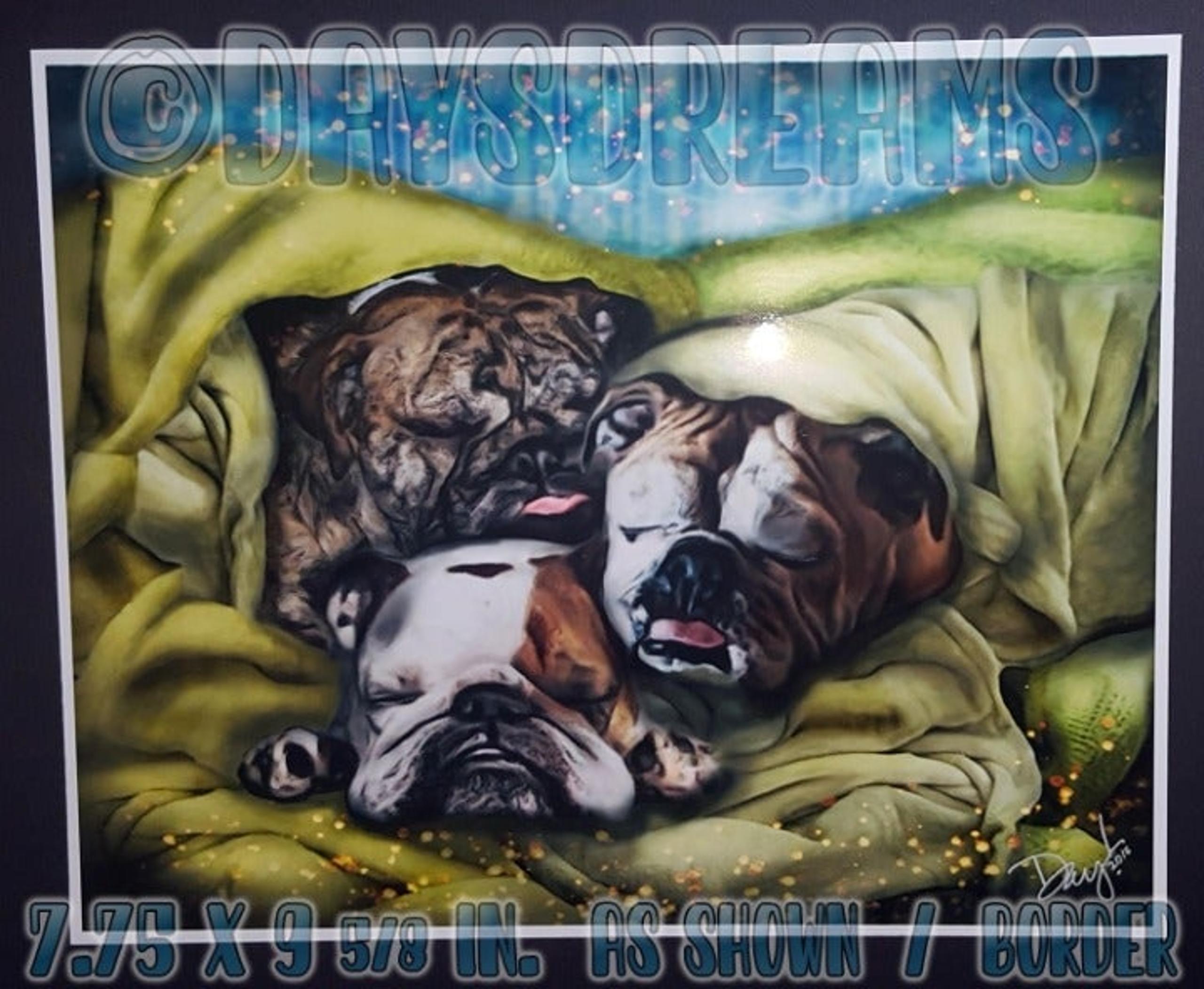 3 Sleeping English Bulldogs Bullies EBD Print  7 3/4 x 9 5/8  as Shown