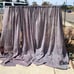Sheer Curtains with Leaf Design