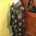 badgley mischka skirt suit 6