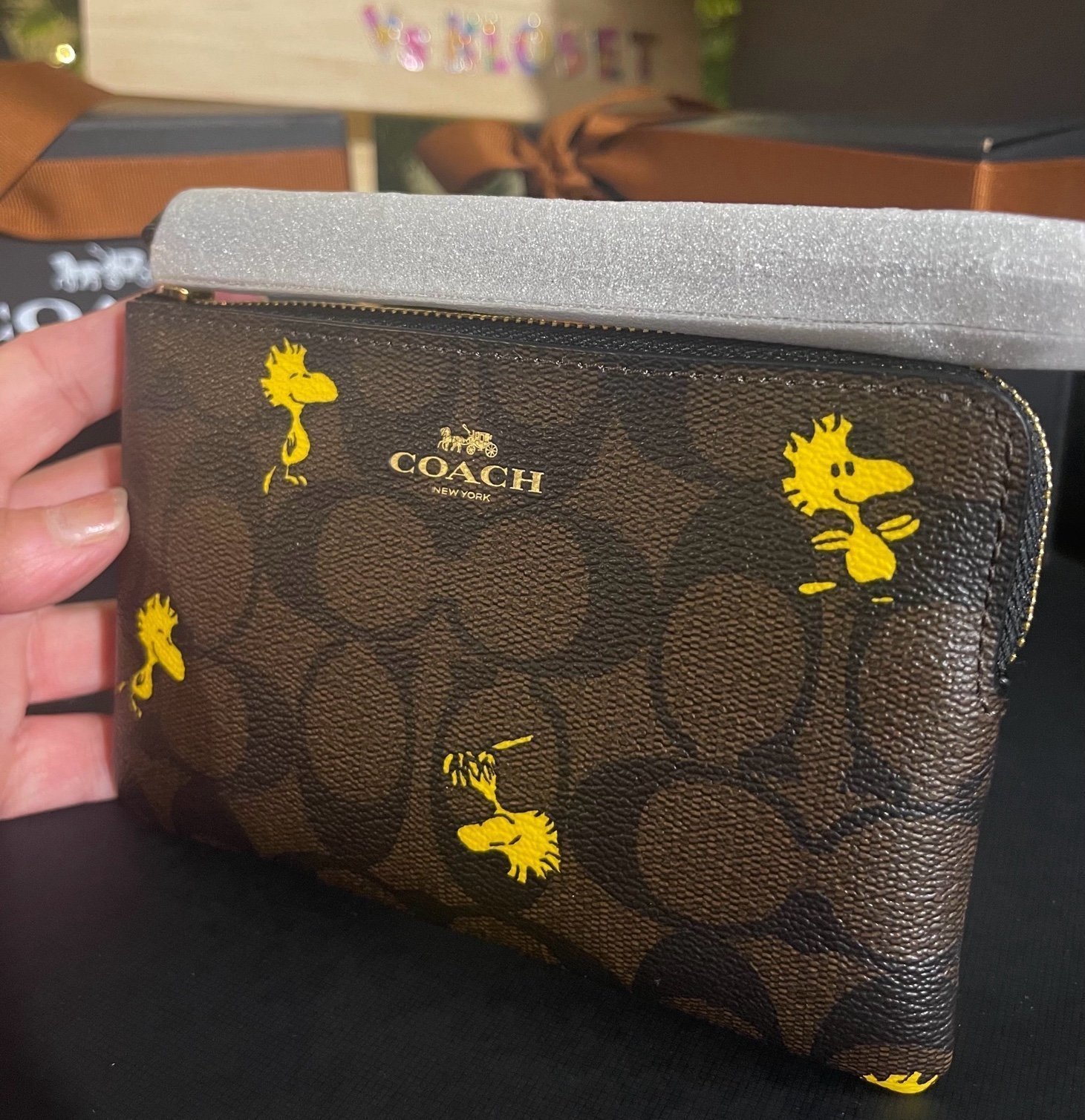 ❤️2021 Coach x Peanuts Limited Edition