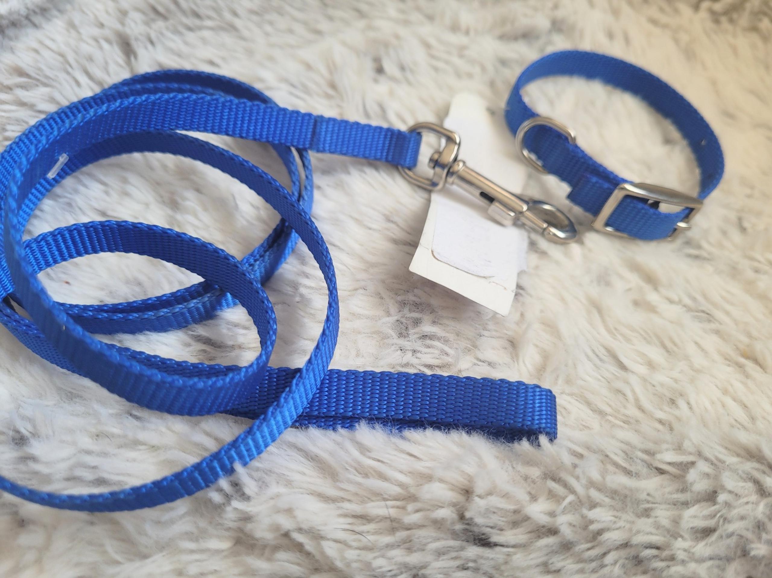Dog Collar 10" Metal Buckle & 4' Leash Set BLUE Nylon XS Pet Puppy