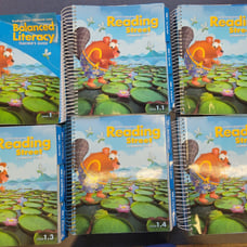 Grade 1 Reading Street Teachers Editions
