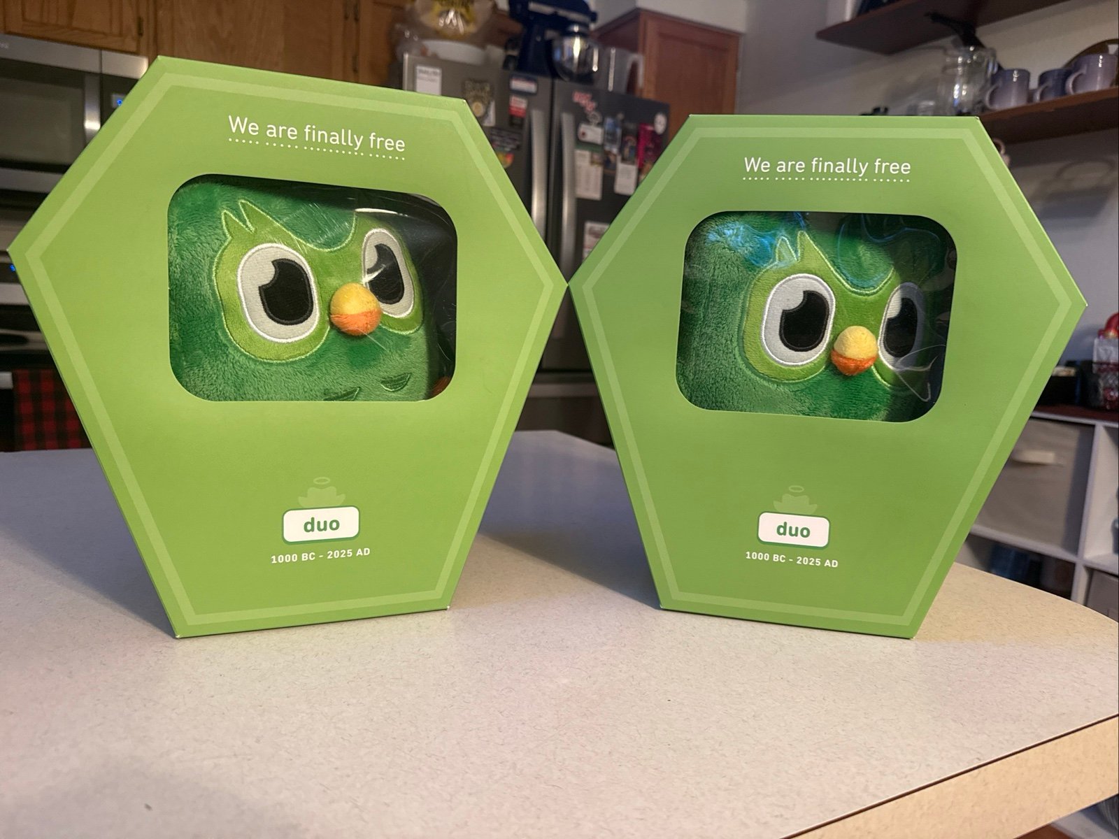 ONE Duolingo “Death” Plushie. Limited Edition and Sold Out!